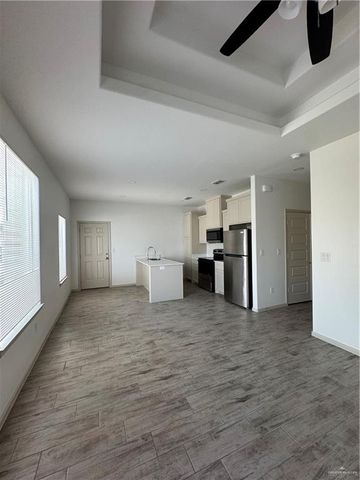 1613 N Molino Drive, Edinburg, TX 78541