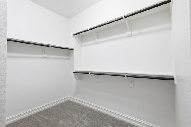 817 Forgotten Forest Way, Mckinney, TX 75071