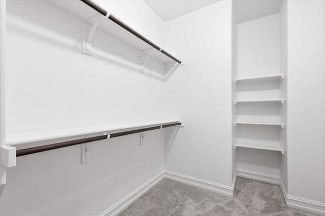 817 Forgotten Forest Way, Mckinney, TX 75071