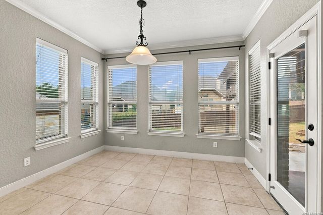 3834 Ox-Eye Daisy, San Antonio, TX 78261