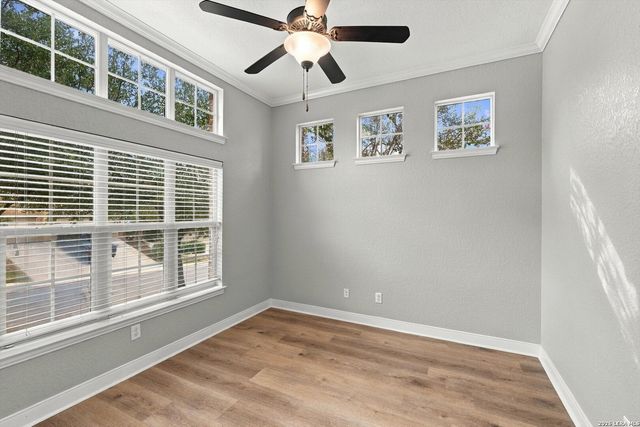 3834 Ox-Eye Daisy, San Antonio, TX 78261