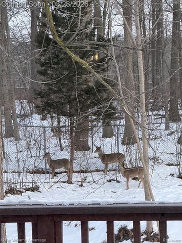 6487 Sheppard Drive, Westland, MI 48185