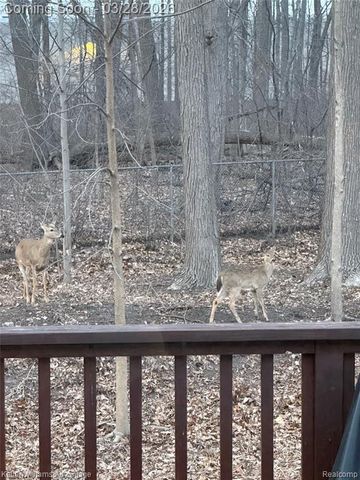 6487 Sheppard Drive, Westland, MI 48185