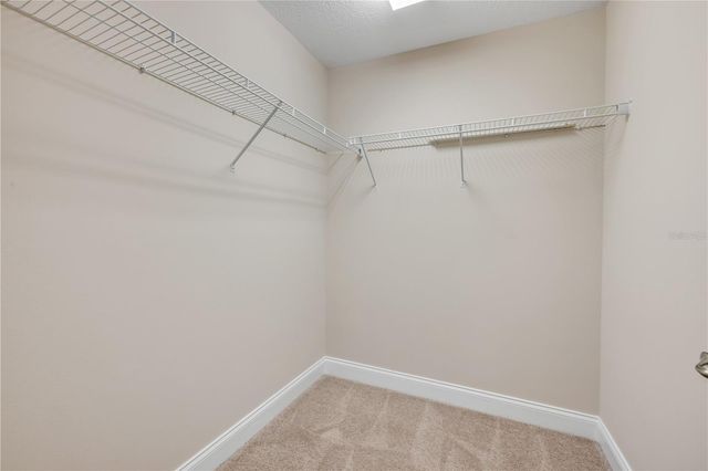 3446 MEDICI BOULEVARD, New Smyrna Beach, FL 32168