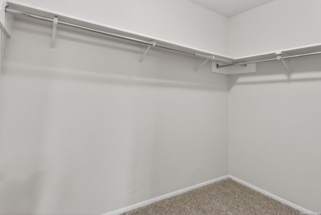 1009 Emmet, Schertz, TX 78154