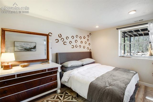 403 Pioneer Creek Drive, Florissant, CO 80816