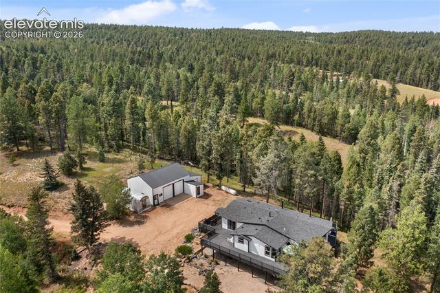 403 Pioneer Creek Drive, Florissant, CO 80816