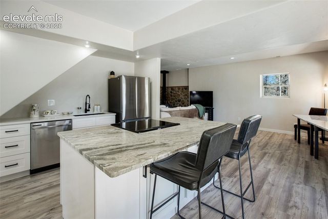 403 Pioneer Creek Drive, Florissant, CO 80816