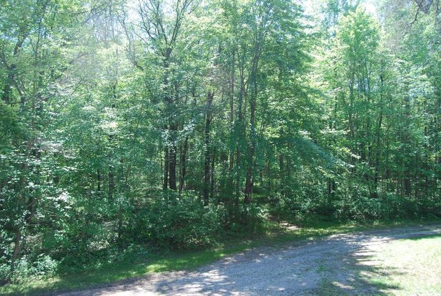 N11490 Nelson ROAD, Wausaukee, WI 54177