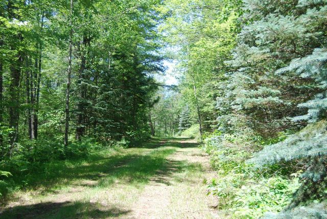 N11490 Nelson ROAD, Wausaukee, WI 54177