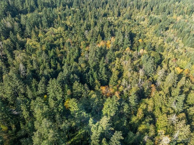 1 Yoman Rd, Anderson Island, WA 98303