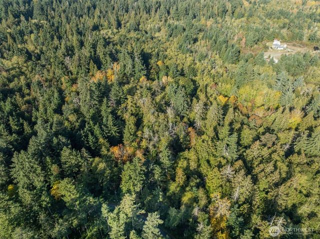 1 Yoman Rd, Anderson Island, WA 98303