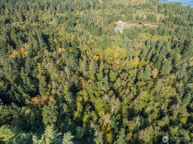 1 Yoman Rd, Anderson Island, WA 98303