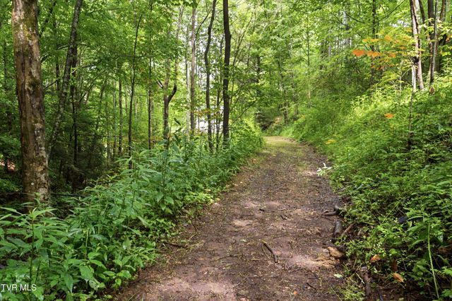 125 Dale Blevins Lane, Roan Mountain, TN 37687