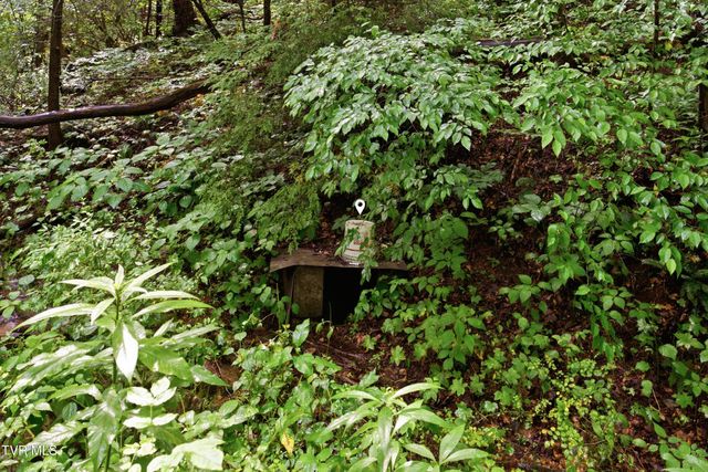 125 Dale Blevins Lane, Roan Mountain, TN 37687