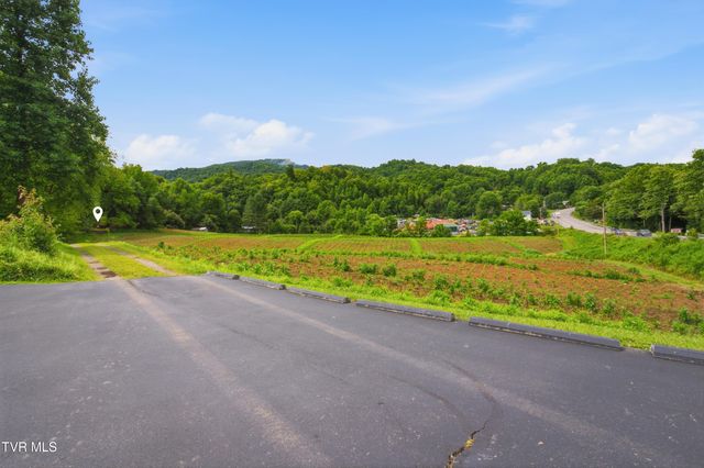 125 Dale Blevins Lane, Roan Mountain, TN 37687