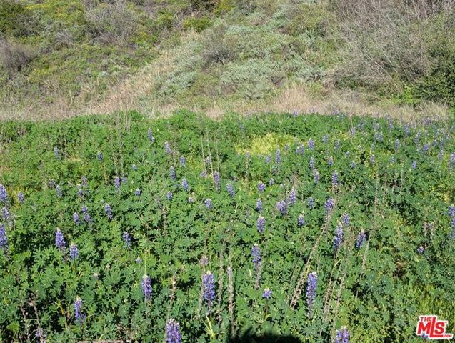 2000 Corsham Road, Topanga (los Angeles), CA 90290