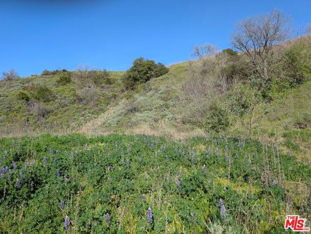 2000 Corsham Road, Topanga (los Angeles), CA 90290