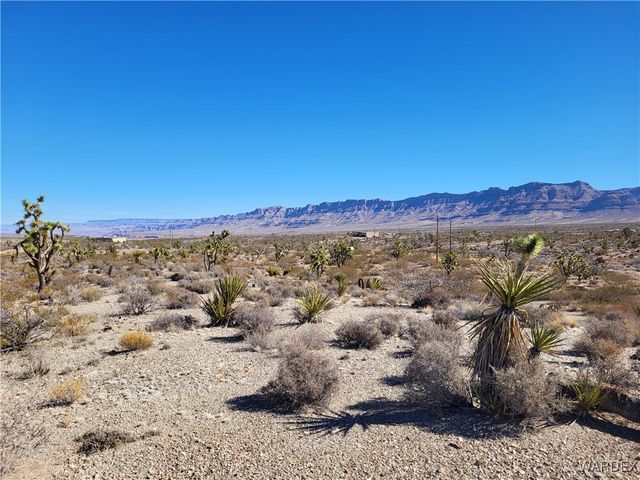 28180 N Glenwood Drive, Meadview, AZ 86444