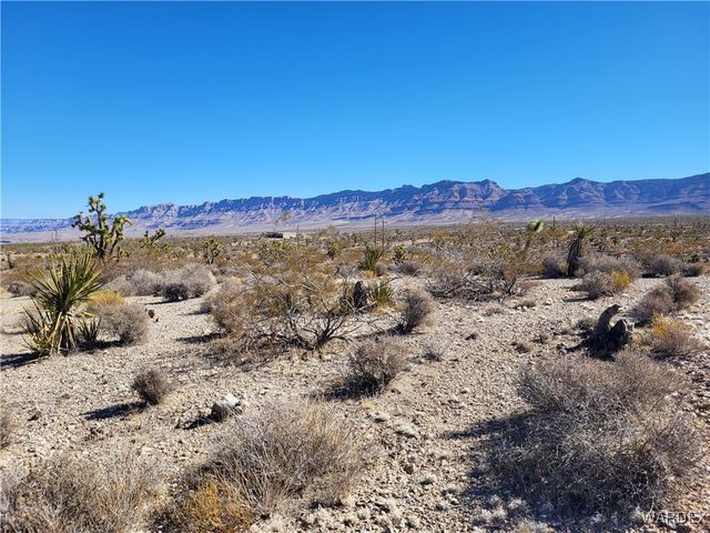 28180 N Glenwood Drive, Meadview, AZ 86444