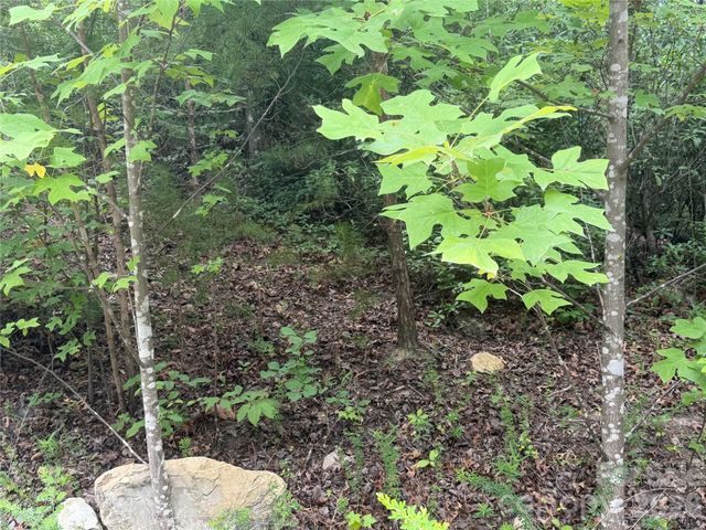 6 Dobsons Knob Loop, Marion, NC 28752