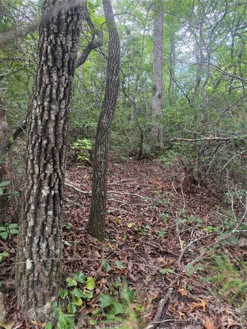 6 Dobsons Knob Loop, Marion, NC 28752