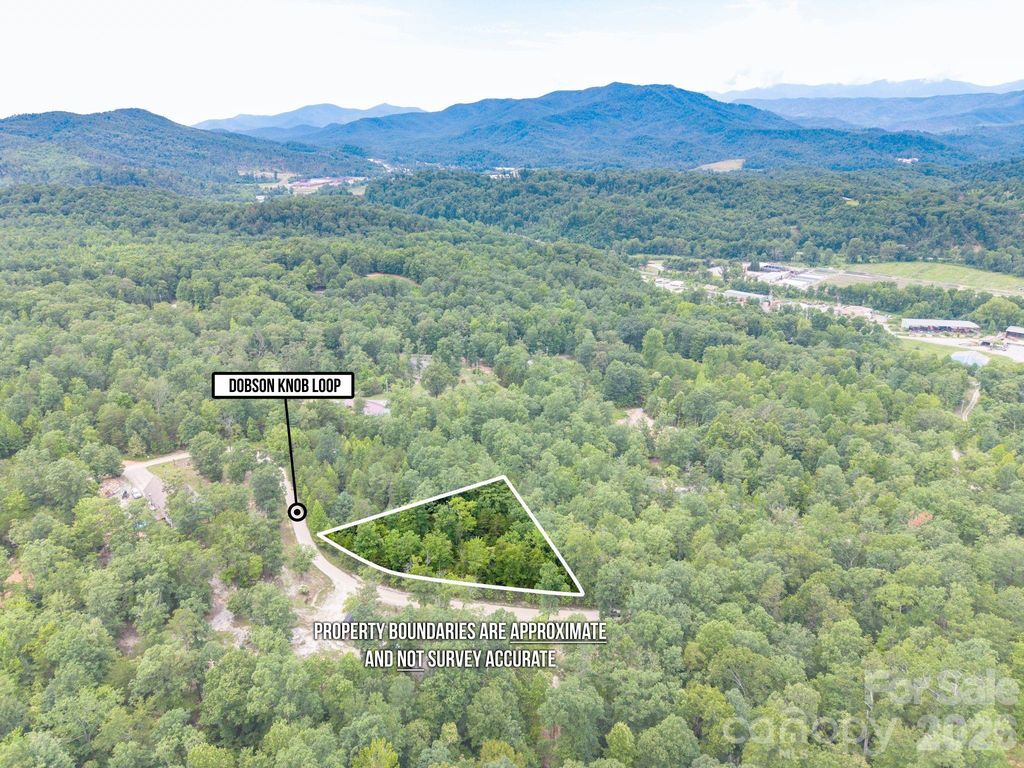 6 Dobsons Knob Loop, Marion, NC 28752