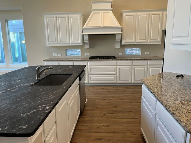 14113 Winter Hill Drive, Little Elm, TX 75068