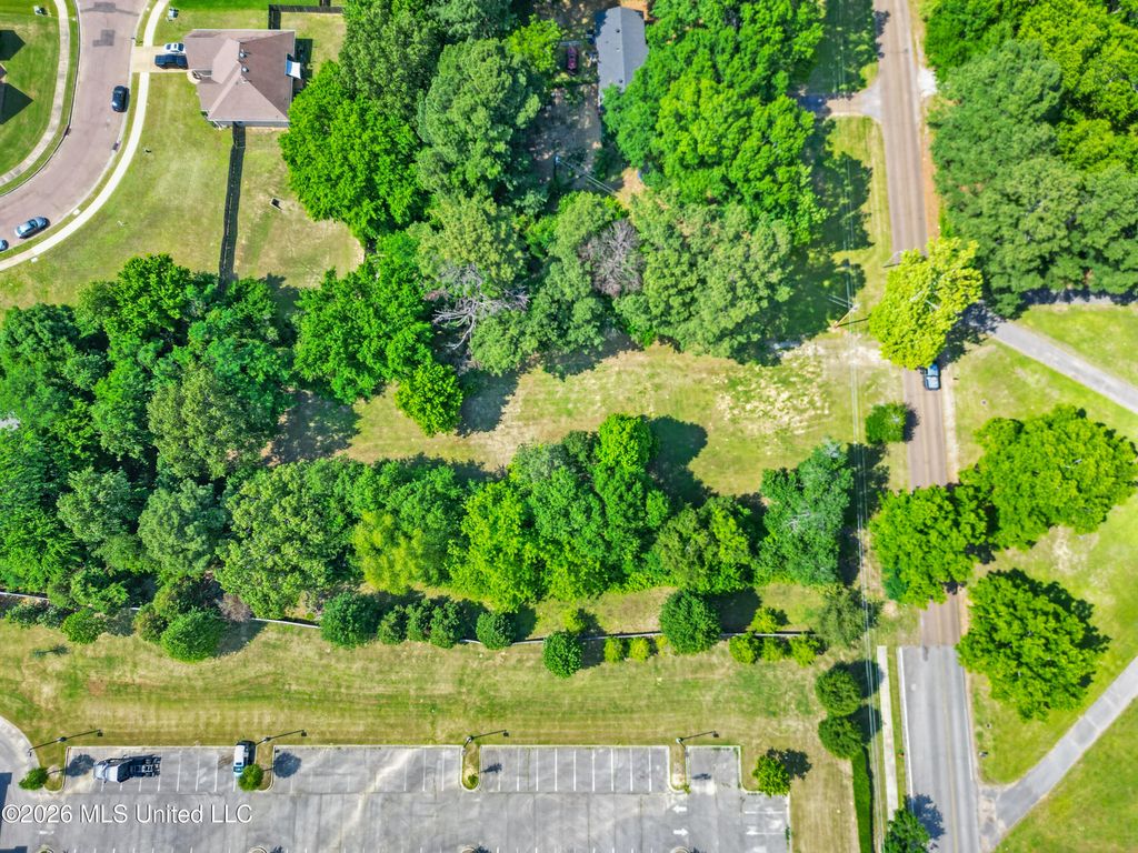7231 N Hamilton Circle, Olive Branch, MS 38654 — photo 5