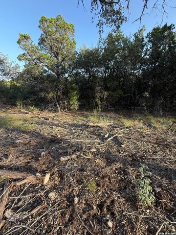 247 Restless Wind, Spring Branch, TX 78070