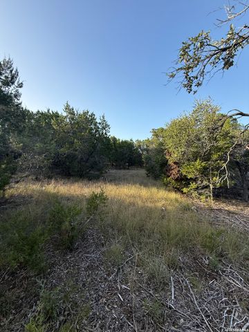 247 Restless Wind, Spring Branch, TX 78070