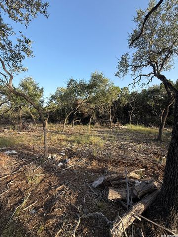 247 Restless Wind, Spring Branch, TX 78070