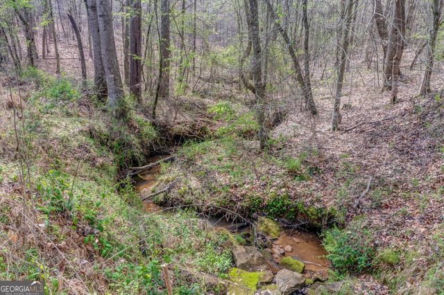 3585 Old Highway 100 S, Tallapoosa, GA 30176