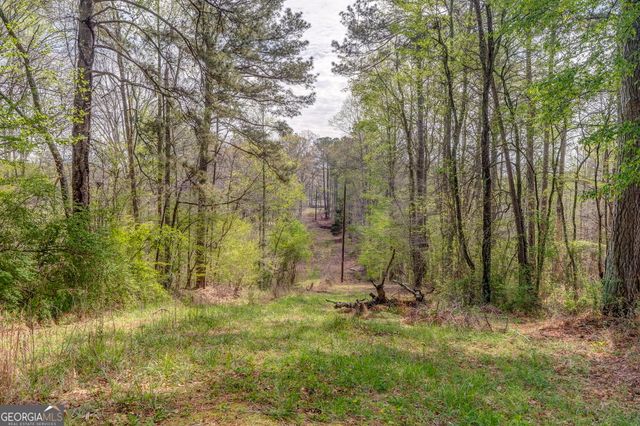 3585 Old Highway 100 S, Tallapoosa, GA 30176