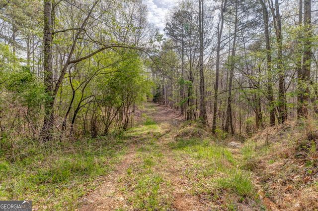 3585 Old Highway 100 S, Tallapoosa, GA 30176
