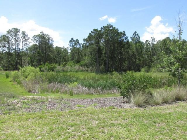 1275 BUTTERFLY ORCHID ROAD, Davenport, FL 33837