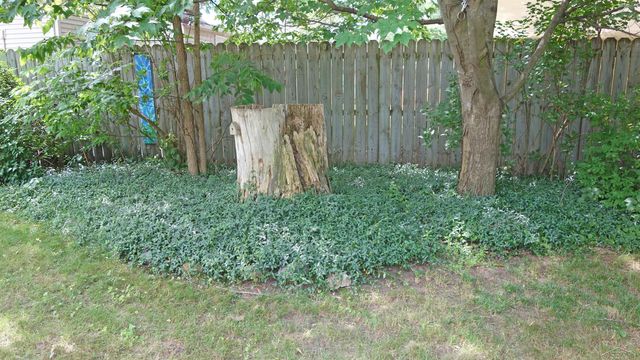326 S Clark Street, Chesaning, MI 48616