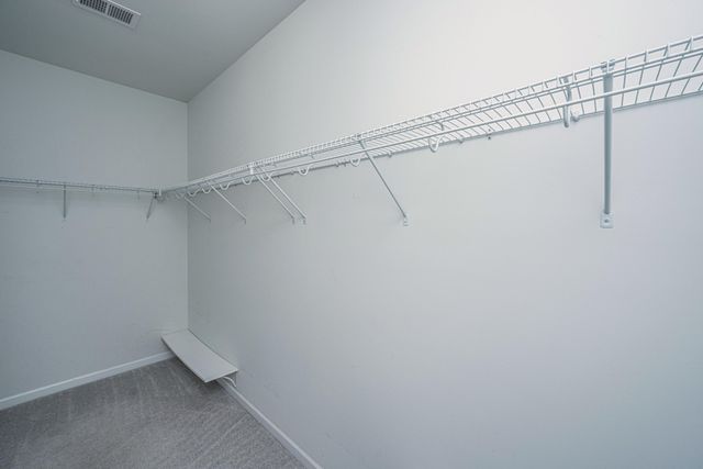 226 Firewheel Court, Summerville, SC 29486