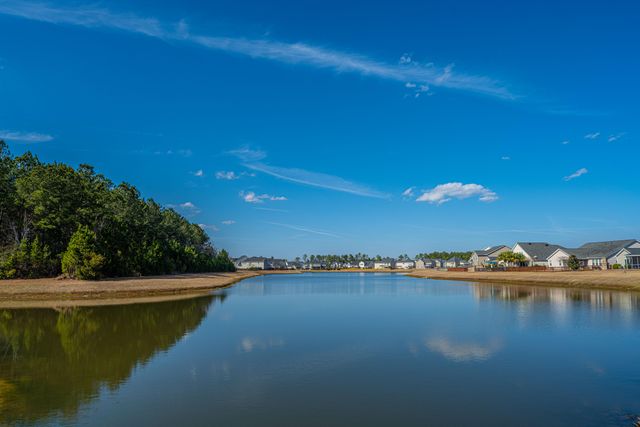 226 Firewheel Court, Summerville, SC 29486