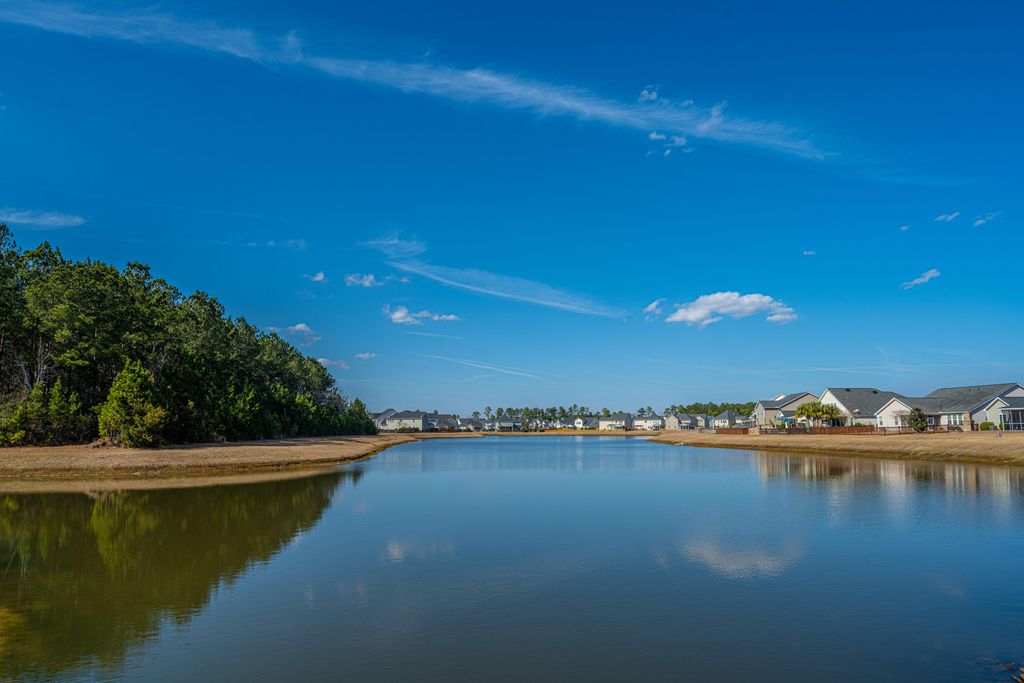 Image 50 of property listing at 226 Firewheel Court, Summerville, SC 29486