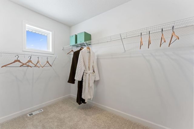 1918 Timber Lane, Carver, MN 55315