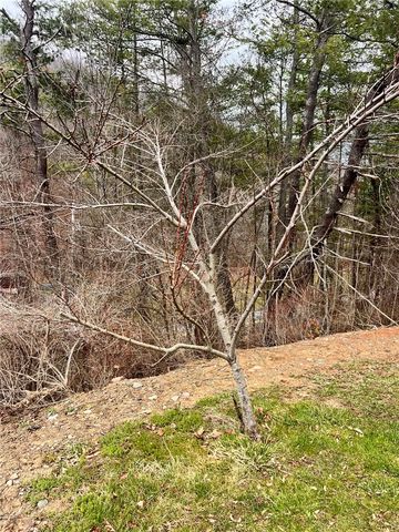 4432 County Route 1, Campbell, NY 14821