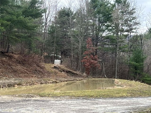 4432 County Route 1, Campbell, NY 14821