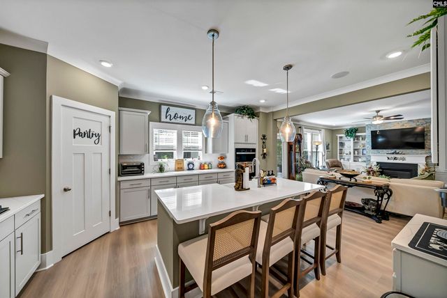 8 Elk Run Court, Chapin, SC 29036