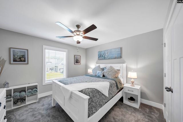 8 Elk Run Court, Chapin, SC 29036