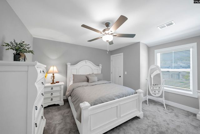 8 Elk Run Court, Chapin, SC 29036
