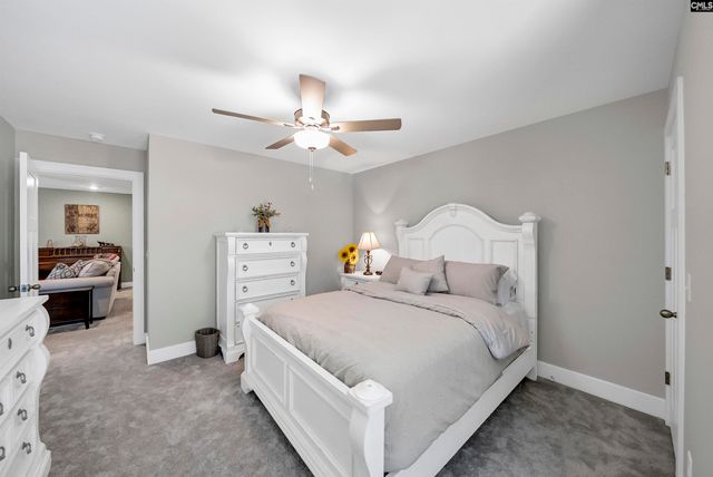 8 Elk Run Court, Chapin, SC 29036