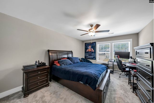 8 Elk Run Court, Chapin, SC 29036