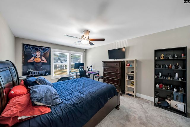 8 Elk Run Court, Chapin, SC 29036