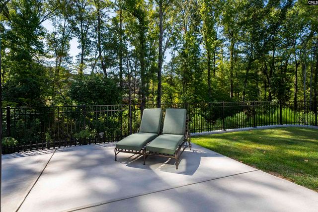 8 Elk Run Court, Chapin, SC 29036